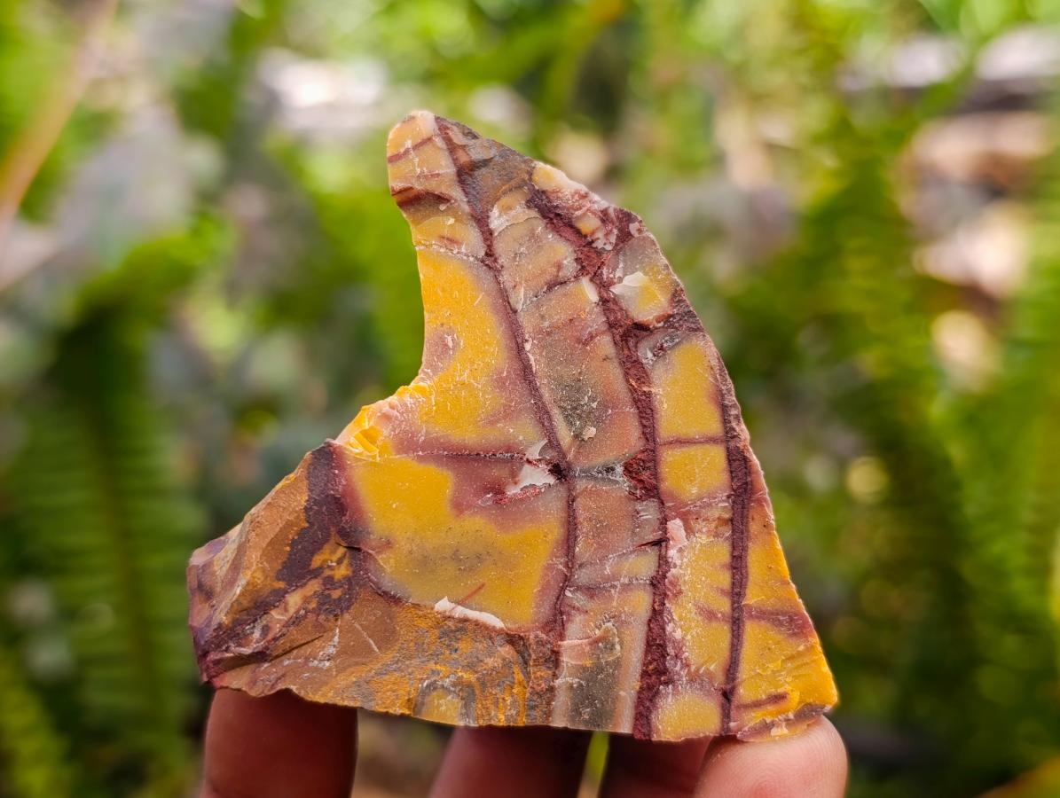 Natural Nguni Jasper Cobbed Specimens x 6.28kg Lot From Northern Cape, South Africa - Toprock Gemstones and Minerals 