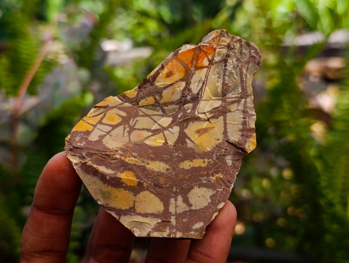 Natural Nguni Jasper Cobbed Specimens x 6.28kg Lot From Northern Cape, South Africa - Toprock Gemstones and Minerals 