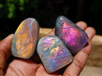 Polished Small Rare Purple Sunset Flash Labradorite Standing Free Forms x 24 From Madagascar - Toprock Gemstones and Minerals 