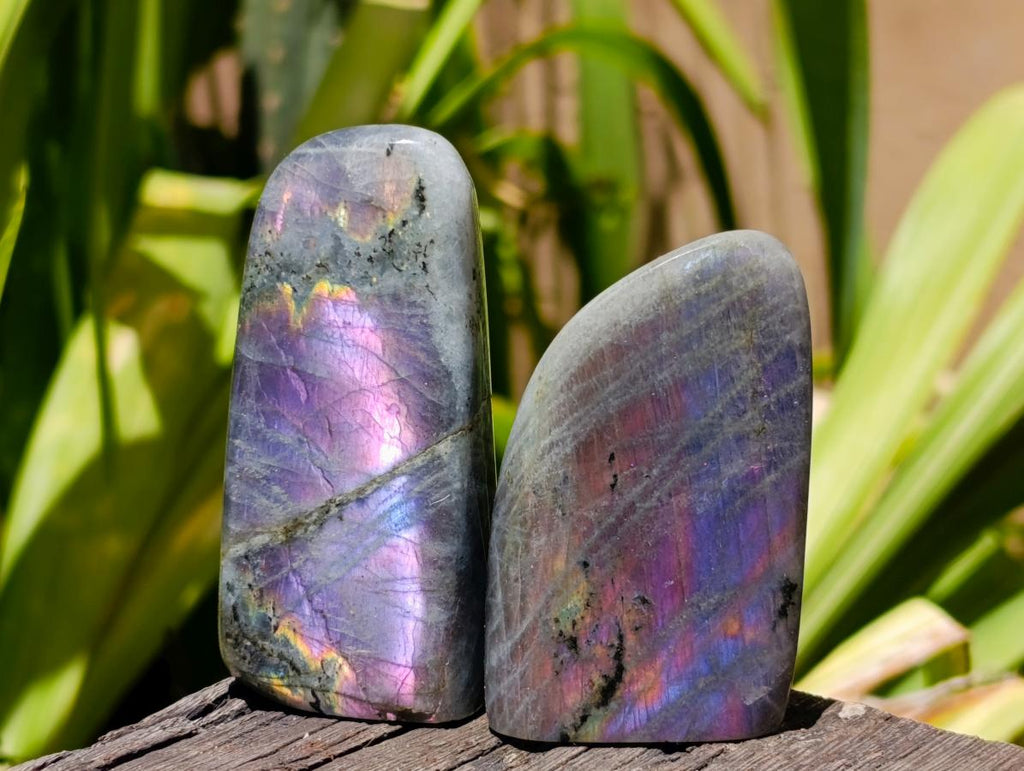 Polished Small Rare Purple Sunset Flash Labradorite Standing Free Forms x 24 From Madagascar - Toprock Gemstones and Minerals 