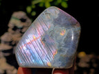 Polished Small Rare Purple Sunset Flash Labradorite Standing Free Forms x 24 From Madagascar - Toprock Gemstones and Minerals 