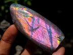 Polished Small Rare Purple Sunset Flash Labradorite Standing Free Forms x 24 From Madagascar - Toprock Gemstones and Minerals 