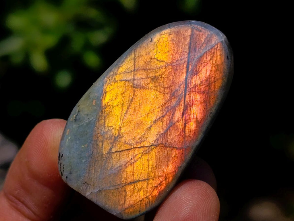 Polished Small Rare Purple Sunset Flash Labradorite Standing Free Forms x 24 From Madagascar - Toprock Gemstones and Minerals 