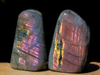 Polished Small Rare Purple Sunset Flash Labradorite Standing Free Forms x 24 From Madagascar - Toprock Gemstones and Minerals 