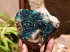 Natural Crystalline Malachite Specimens x 2 From Tenke Fungurume, Congo - Toprock Gemstones and Minerals 