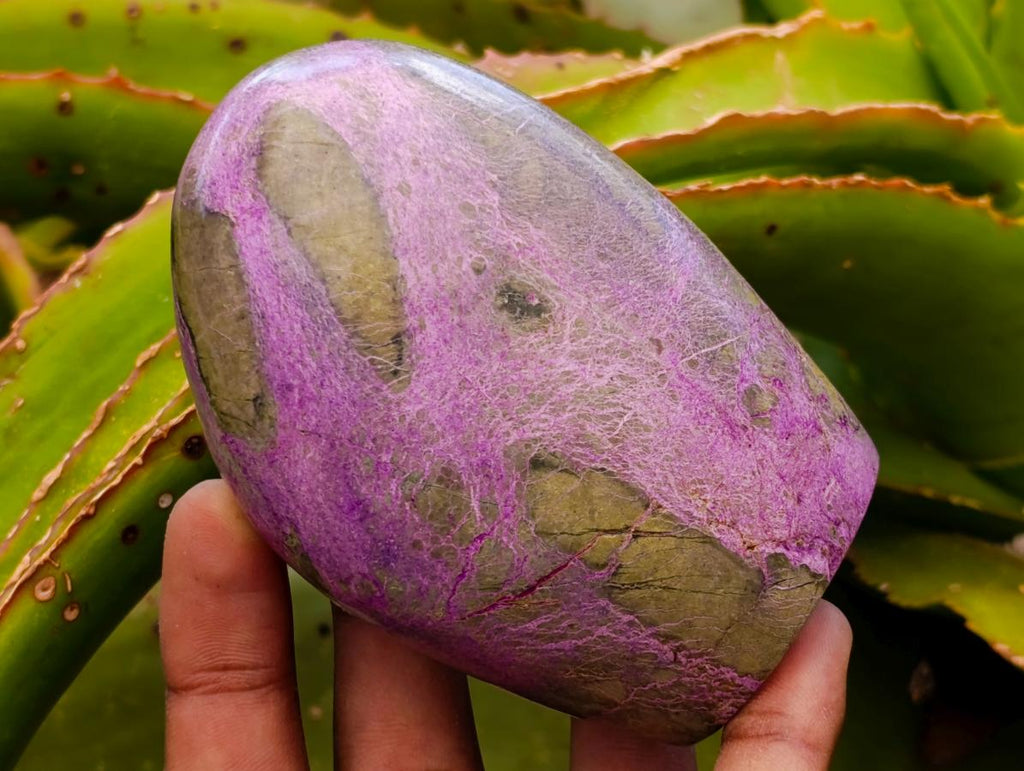 Polished Stichtite Standing Free Forms x 3 From Barberton, South Africa - Toprock Gemstones and Minerals 