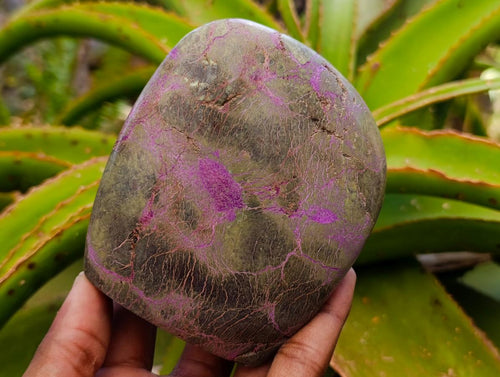 Polished Stichtite Standing Free Forms x 3 From Barberton, South Africa - Toprock Gemstones and Minerals 