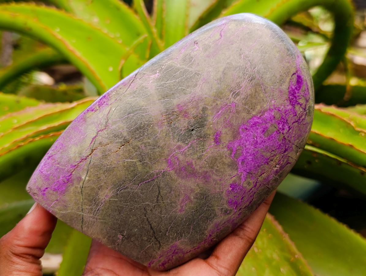 Polished Stichtite Standing Free Forms x 3 From Barberton, South Africa - Toprock Gemstones and Minerals 