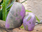 Polished Stichtite Standing Free Forms x 3 From Barberton, South Africa - Toprock Gemstones and Minerals 