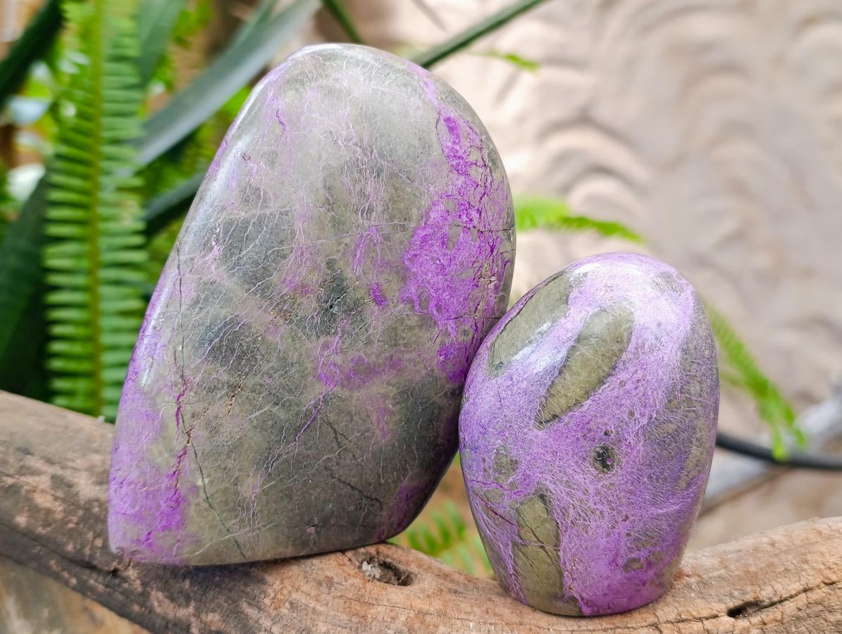 Polished Stichtite Standing Free Forms x 3 From Barberton, South Africa - Toprock Gemstones and Minerals 