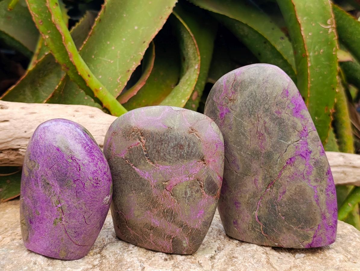 Polished Stichtite Standing Free Forms x 3 From Barberton, South Africa - Toprock Gemstones and Minerals 