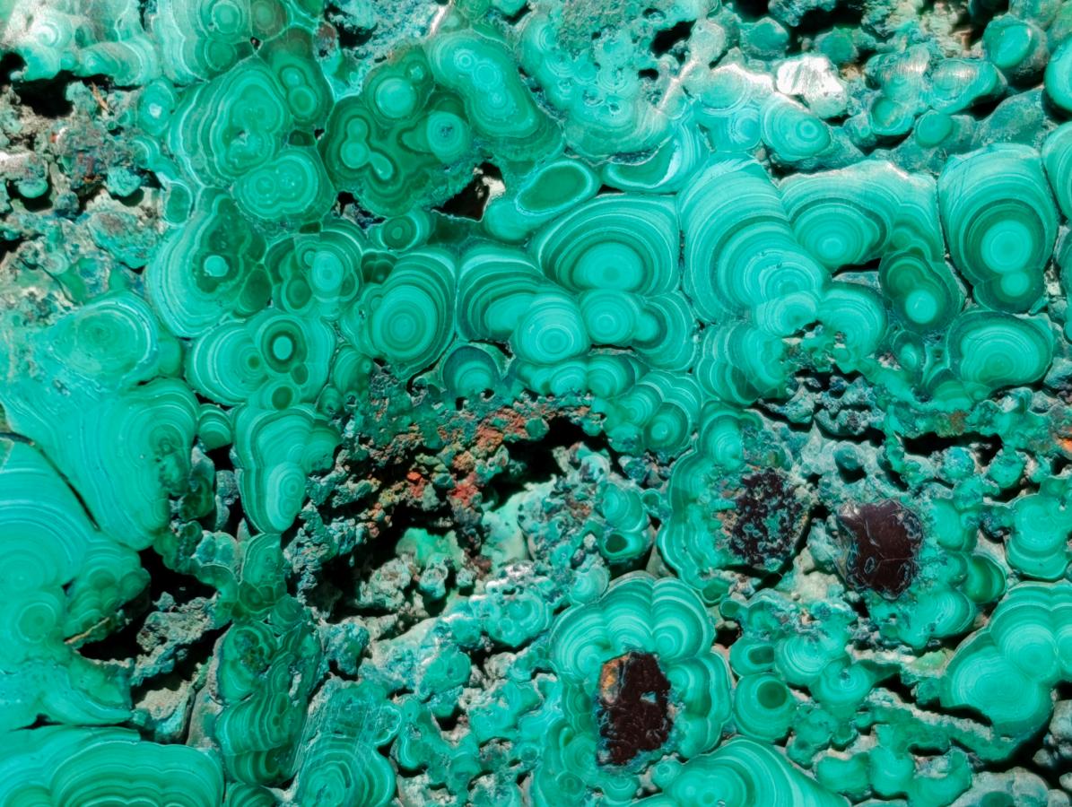 Polished Flower Banded Malachite Free Forms x 5 From Congo - Toprock Gemstones and Minerals 