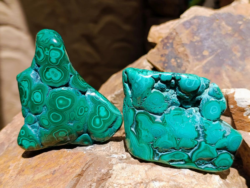 Polished Flower Banded Malachite Free Forms x 5 From Congo - Toprock Gemstones and Minerals 