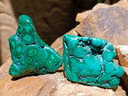 Polished Flower Banded Malachite Free Forms x 5 From Congo - Toprock Gemstones and Minerals 