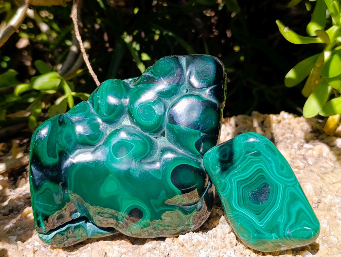 Polished Flower Banded Malachite Free Forms x 5 From Congo - Toprock Gemstones and Minerals 