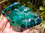 Polished Flower Banded Malachite Free Forms x 5 From Congo - Toprock Gemstones and Minerals 