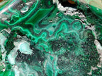 Polished Flower Banded Malachite Free Forms x 5 From Congo - Toprock Gemstones and Minerals 