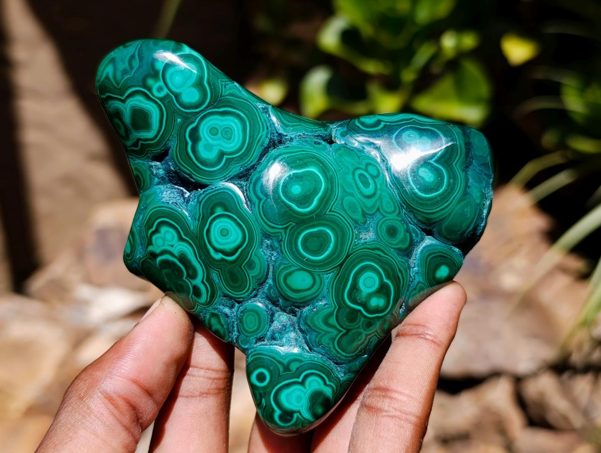Polished Flower Banded Malachite Free Forms x 5 From Congo - Toprock Gemstones and Minerals 