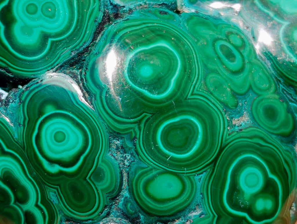 Polished Flower Banded Malachite Free Forms x 5 From Congo - Toprock Gemstones and Minerals 
