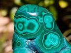 Polished Flower Banded Malachite Free Forms x 5 From Congo - Toprock Gemstones and Minerals 