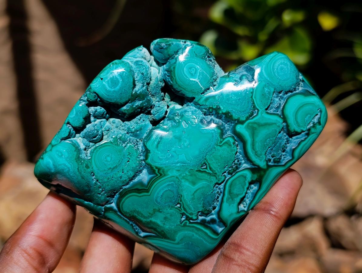 Polished Flower Banded Malachite Free Forms x 5 From Congo - Toprock Gemstones and Minerals 