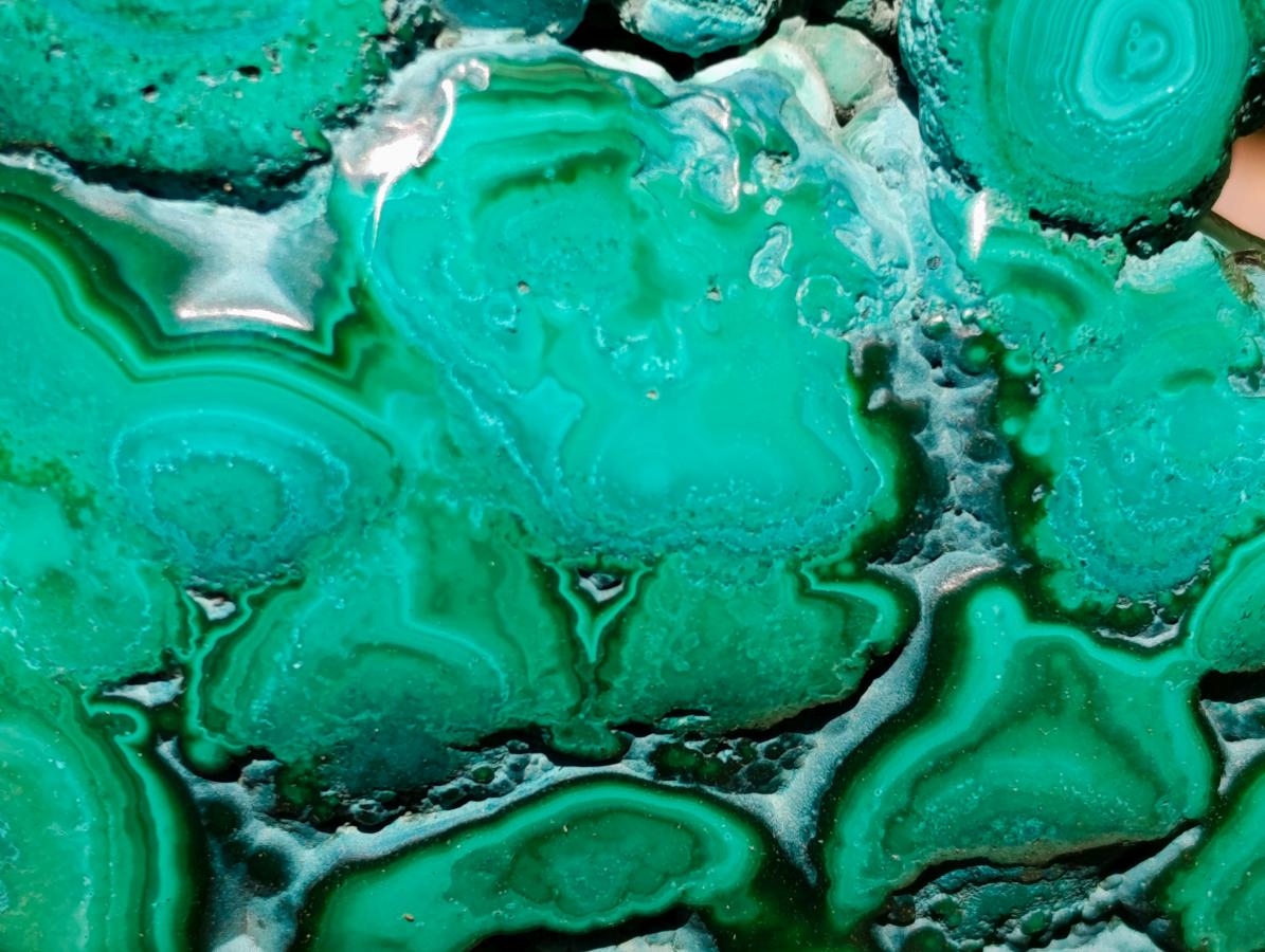 Polished Flower Banded Malachite Free Forms x 5 From Congo - Toprock Gemstones and Minerals 