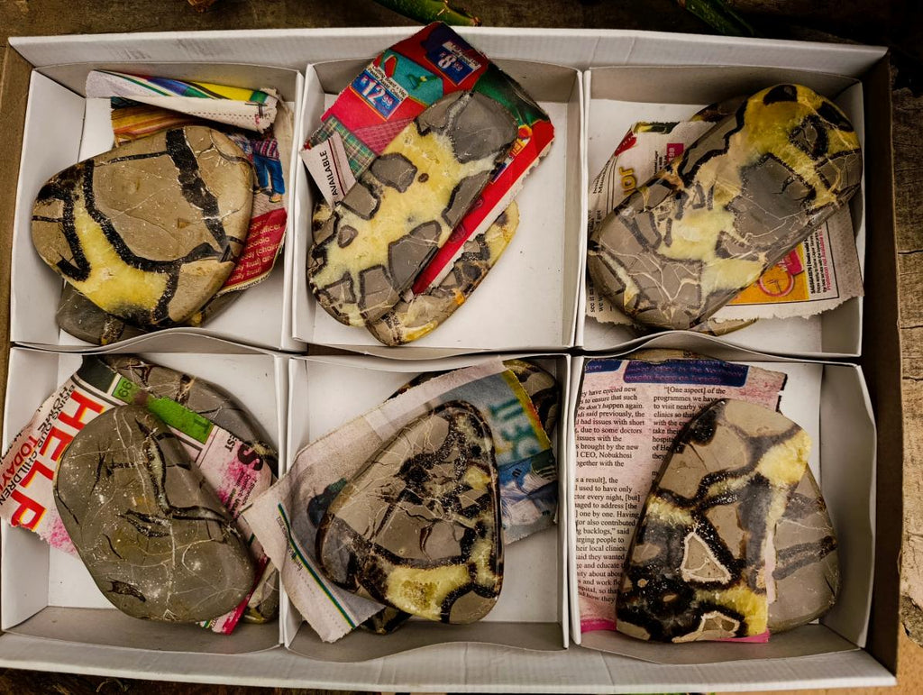 Polished Septerye Slices x 12 From Mahajanga, Madagascar - Toprock Gemstones and Minerals 