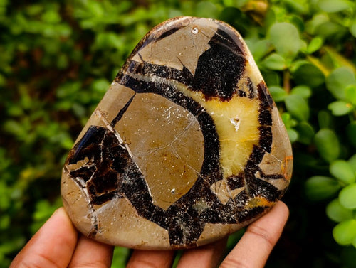Polished Septerye Slices x 12 From Mahajanga, Madagascar - Toprock Gemstones and Minerals 