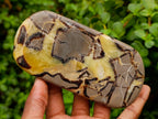 Polished Septerye Slices x 12 From Mahajanga, Madagascar - Toprock Gemstones and Minerals 