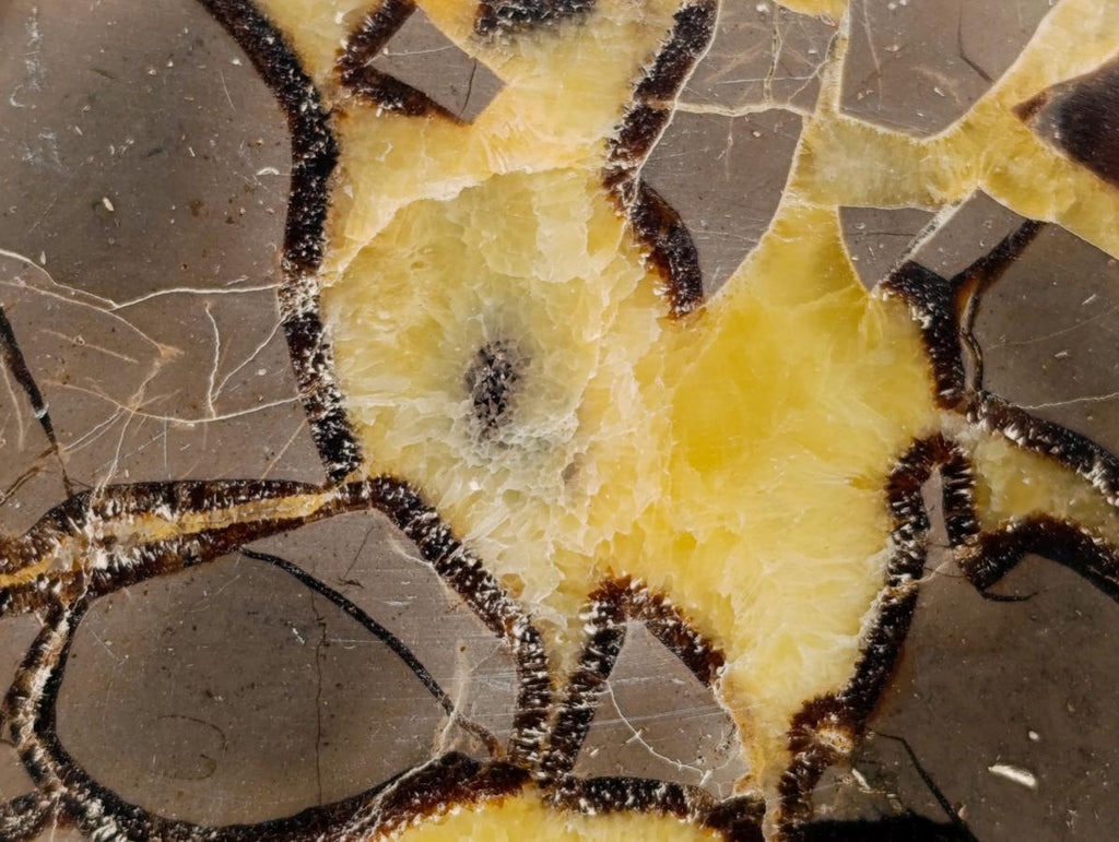 Polished Septerye Slices x 12 From Mahajanga, Madagascar - Toprock Gemstones and Minerals 