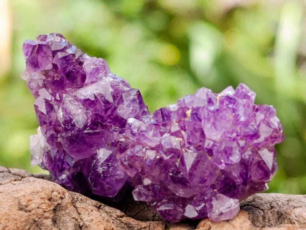 Natural Dark Purple Amethyst Quartz Crystal Plates x 63 From Boekenhouthoek, South Africa - Toprock Gemstones and Minerals 