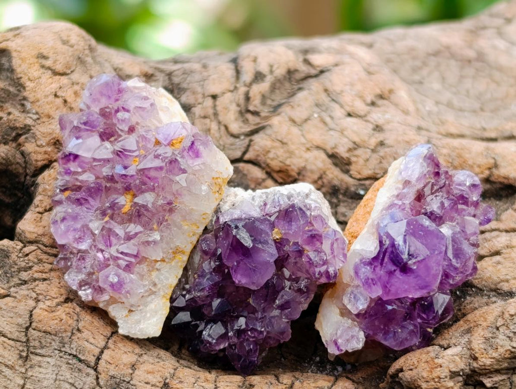 Natural Dark Purple Amethyst Quartz Crystal Plates x 63 From Boekenhouthoek, South Africa - Toprock Gemstones and Minerals 
