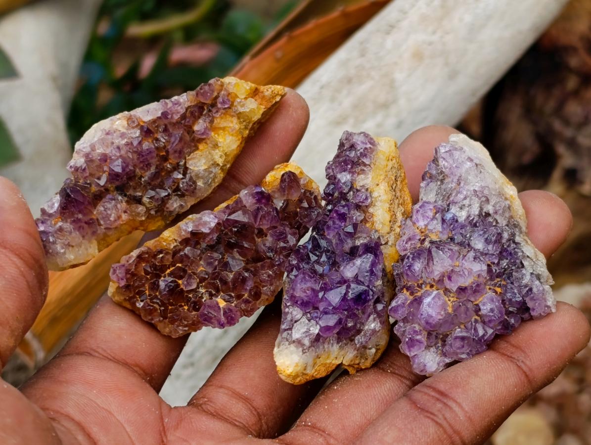 Natural Dark Purple Amethyst Quartz Crystal Plates x 63 From Boekenhouthoek, South Africa - Toprock Gemstones and Minerals 