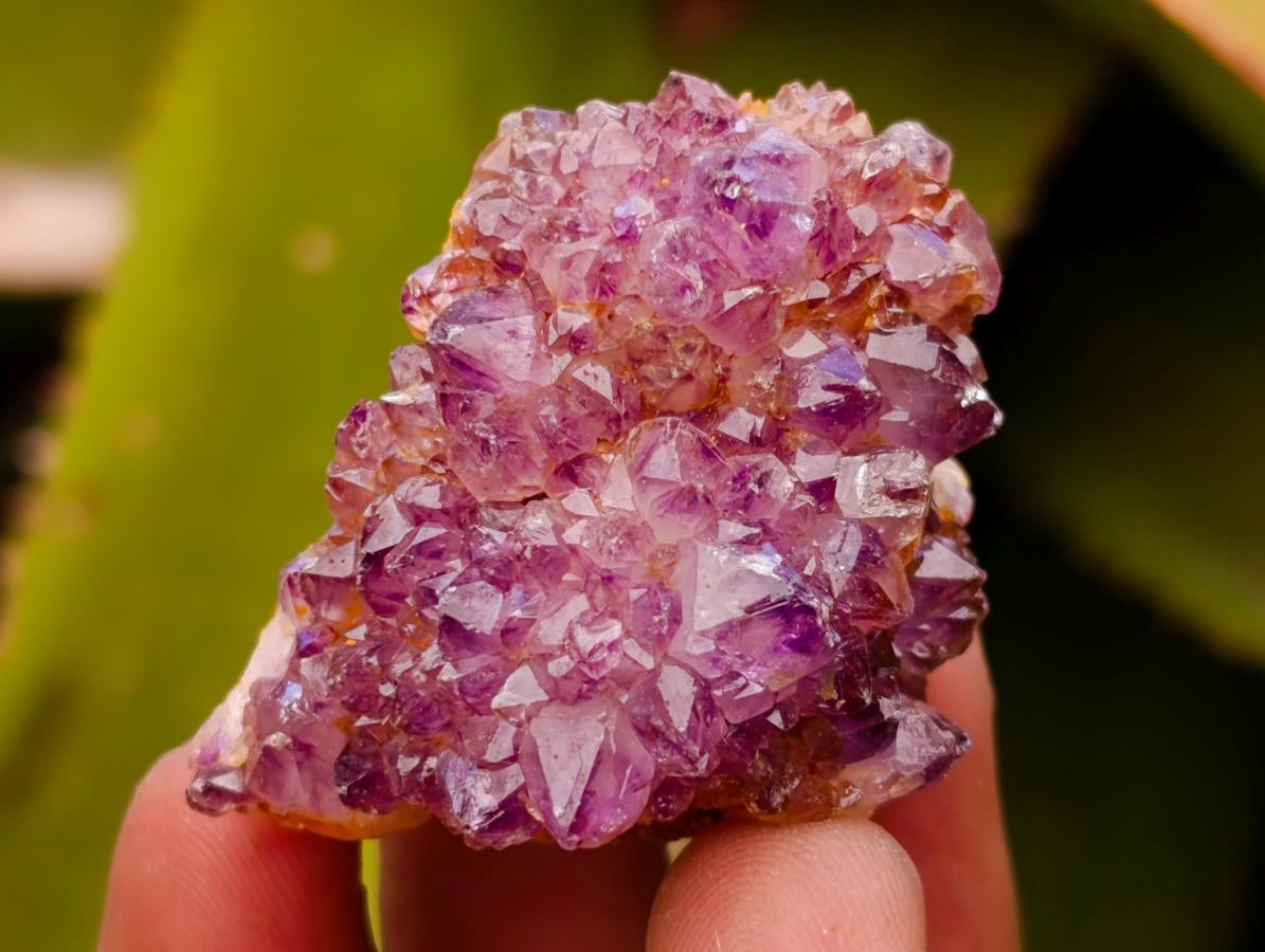 Natural Dark Purple Amethyst Quartz Crystal Plates x 63 From Boekenhouthoek, South Africa - Toprock Gemstones and Minerals 