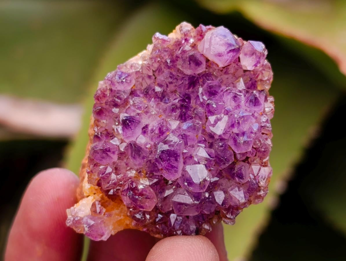 Natural Dark Purple Amethyst Quartz Crystal Plates x 63 From Boekenhouthoek, South Africa - Toprock Gemstones and Minerals 