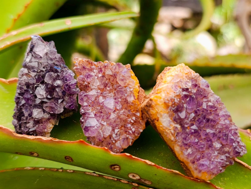 Natural Dark Purple Amethyst Quartz Crystal Plates x 63 From Boekenhouthoek, South Africa - Toprock Gemstones and Minerals 