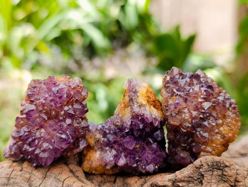 Natural Dark Purple Amethyst Quartz Crystal Plates x 63 From Boekenhouthoek, South Africa - Toprock Gemstones and Minerals 