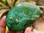 Polished Verdite Palm Stones x 24 From Zimbabwe - Toprock Gemstones and Minerals 