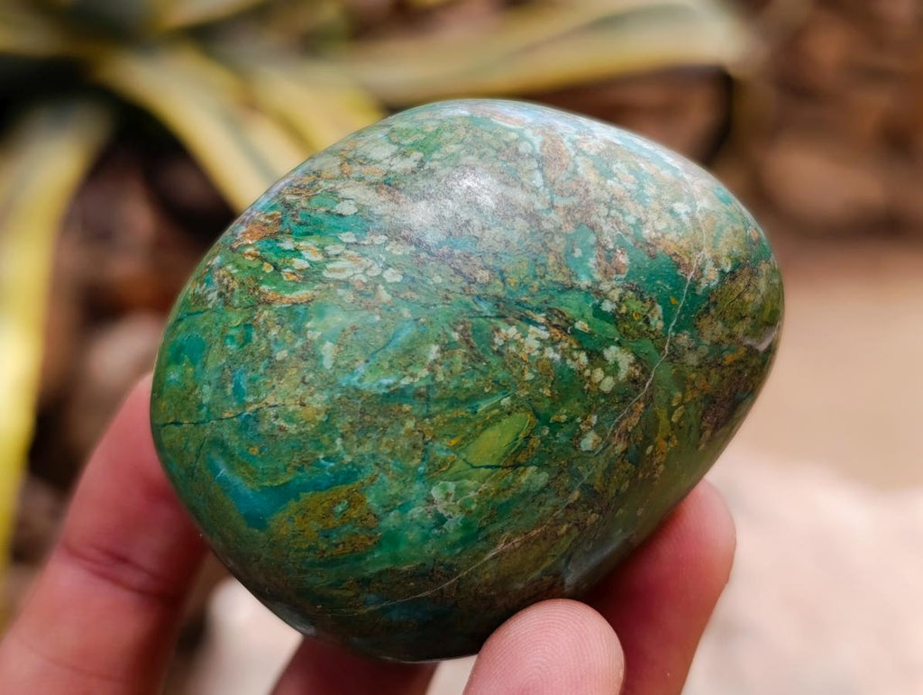 Polished Verdite Palm Stones x 24 From Zimbabwe - Toprock Gemstones and Minerals 