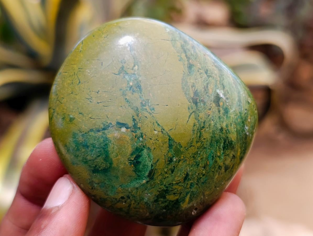 Polished Verdite Palm Stones x 24 From Zimbabwe - Toprock Gemstones and Minerals 