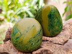 Polished Verdite Palm Stones x 24 From Zimbabwe - Toprock Gemstones and Minerals 