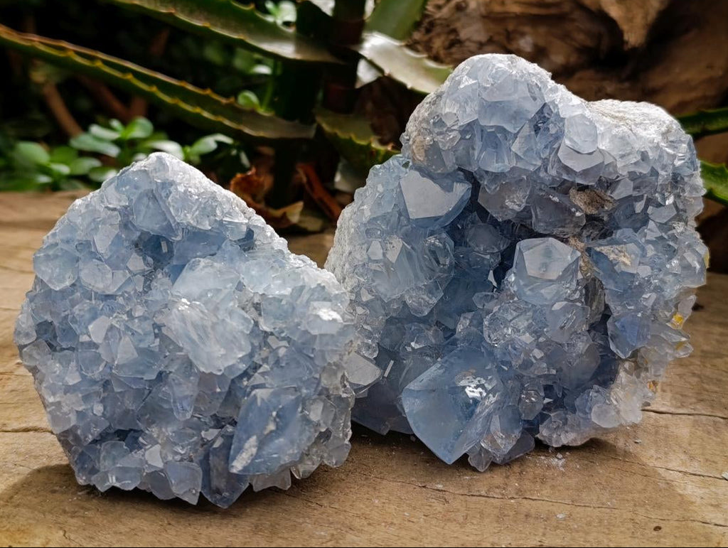 Natural Blue Celestite Cluster Specimens x 2 From Sakoany, Madagascar - Toprock Gemstones and Minerals 