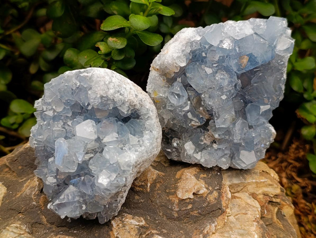 Natural Blue Celestite Cluster Specimens x 2 From Sakoany, Madagascar - Toprock Gemstones and Minerals 