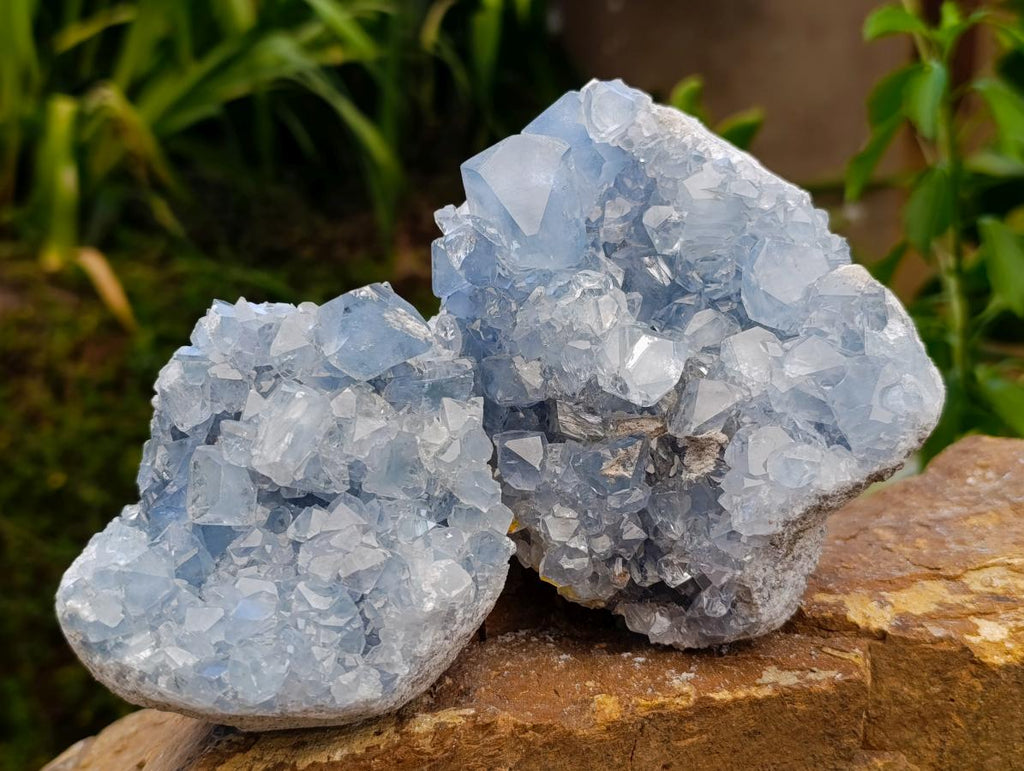 Natural Blue Celestite Cluster Specimens x 2 From Sakoany, Madagascar - Toprock Gemstones and Minerals 