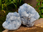 Natural Blue Celestite Cluster Specimens x 2 From Sakoany, Madagascar - Toprock Gemstones and Minerals 