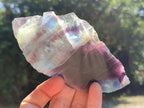 Polished Watermelon Fluorite Slices x 6 From Uis, Namibia - Toprock Gemstones and Minerals 
