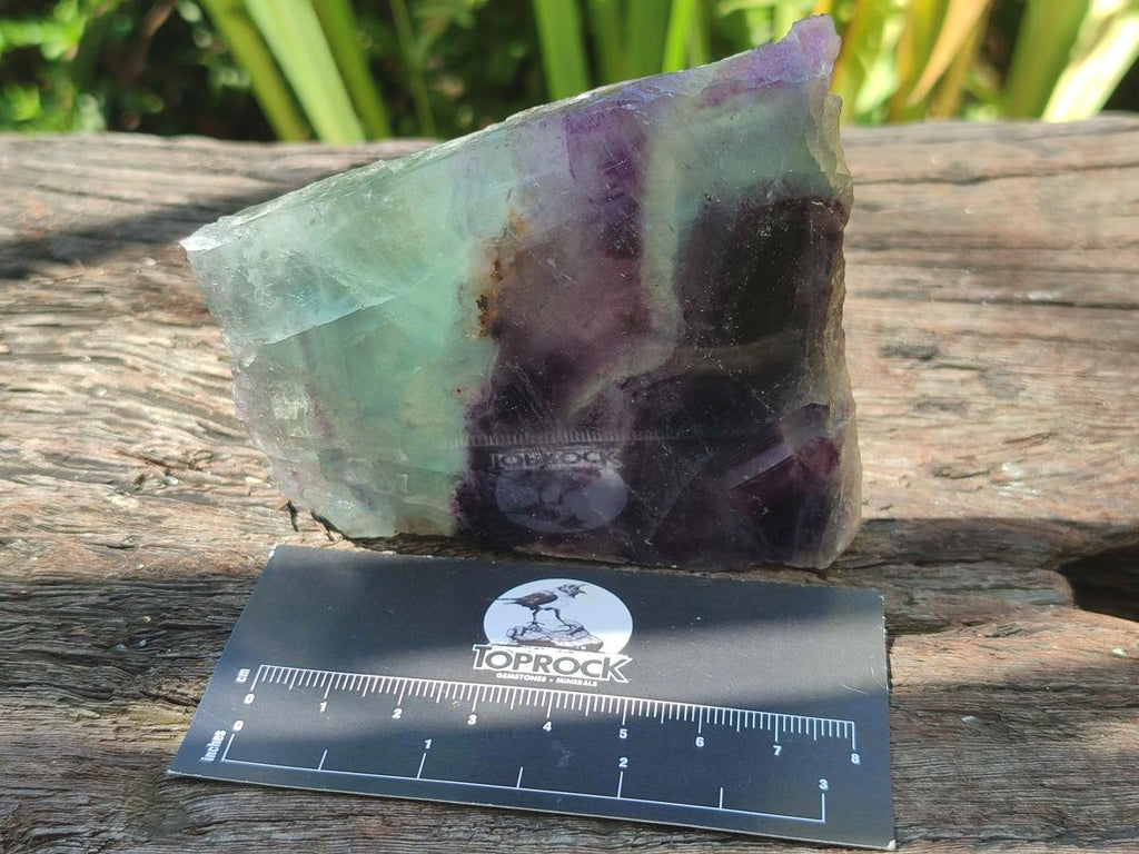 Polished Watermelon Fluorite Slices x 6 From Uis, Namibia - Toprock Gemstones and Minerals 