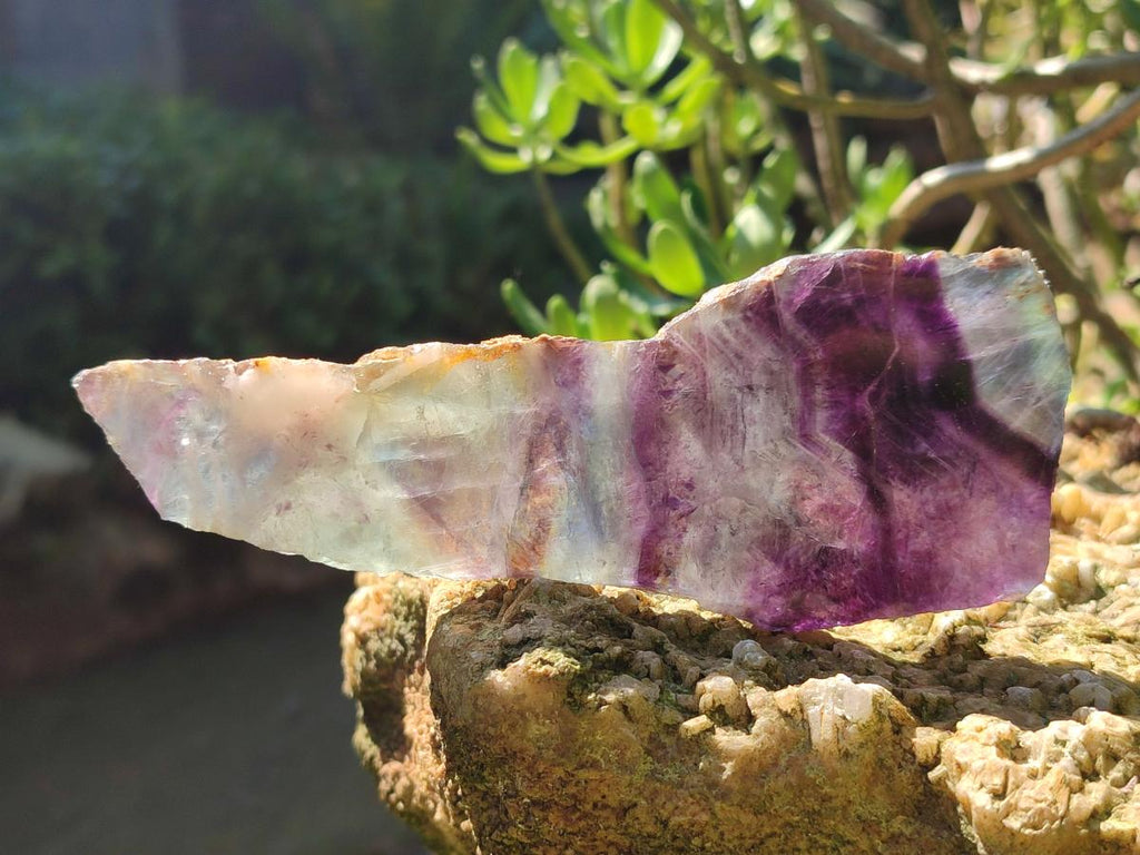 Polished Watermelon Fluorite Slices x 6 From Uis, Namibia - Toprock Gemstones and Minerals 