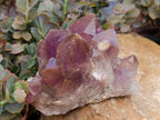 Polished Watermelon Fluorite Slices x 6 From Uis, Namibia - Toprock Gemstones and Minerals 