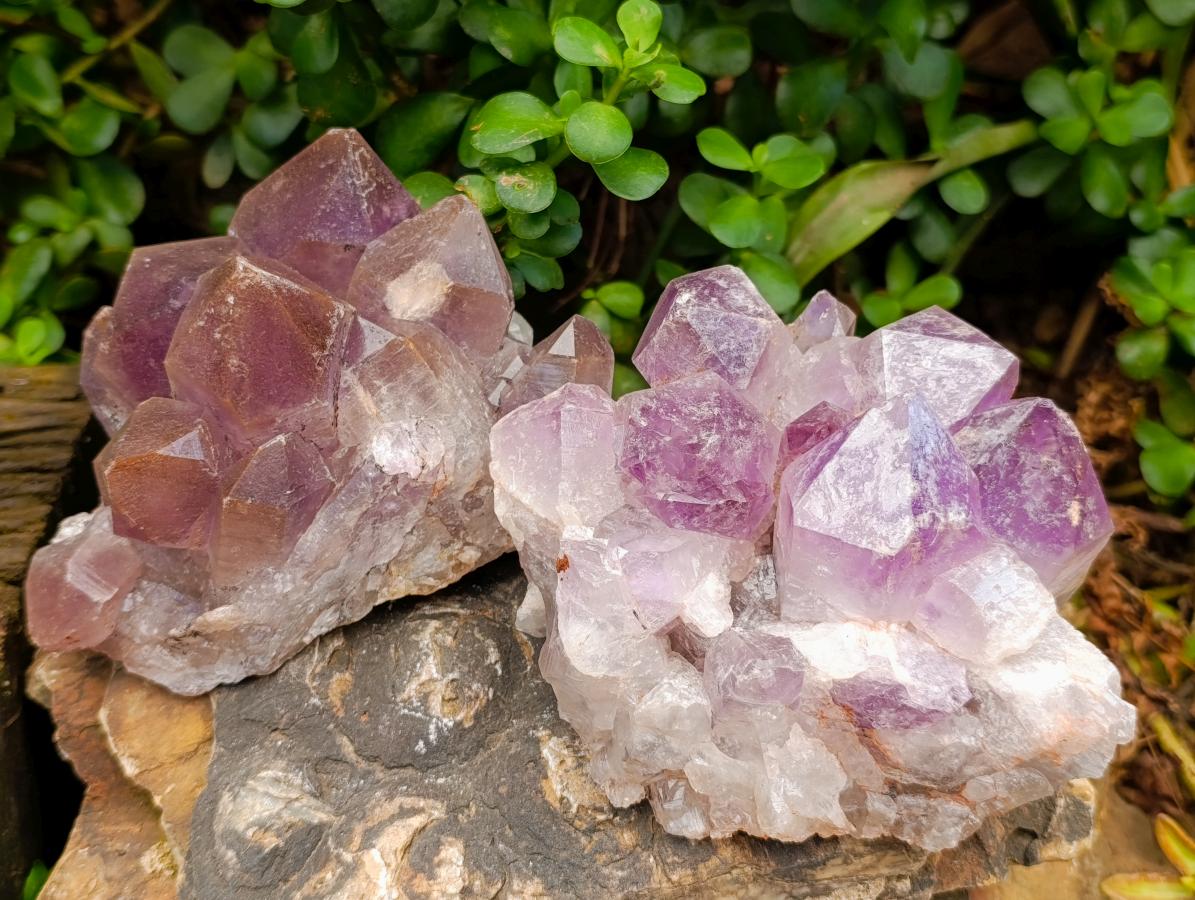 Polished Watermelon Fluorite Slices x 6 From Uis, Namibia - Toprock Gemstones and Minerals 